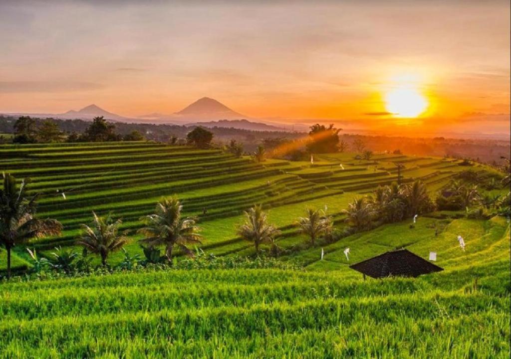 Luxenomads Tanah Lot Oceanview Escape Villa Tabanan  Ngoại thất bức ảnh