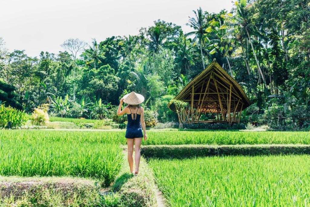 Luxenomads Tanah Lot Oceanview Escape Villa Tabanan  Ngoại thất bức ảnh
